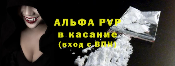 гидра Анжеро-Судженск