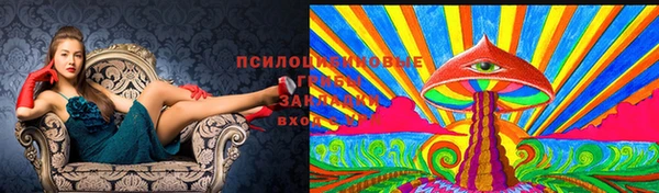 молекула духа Михайловка