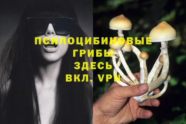мдма Михайловск