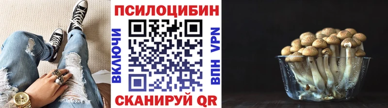 цена   Энгельс  Псилоцибиновые грибы мухоморы 