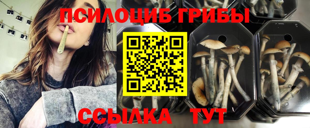 Галлюциногенные грибы MAGIC MUSHROOMS  Галлюциногенные грибы Magic Shrooms  Энгельс 