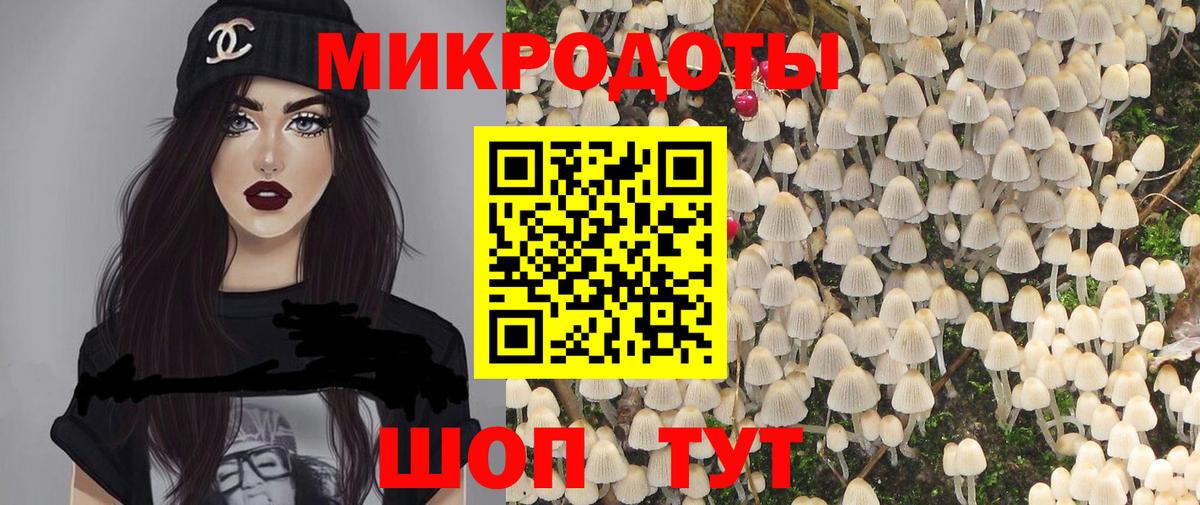 Псилоцибиновые грибы Psilocybe  Вход с VPN  Энгельс 