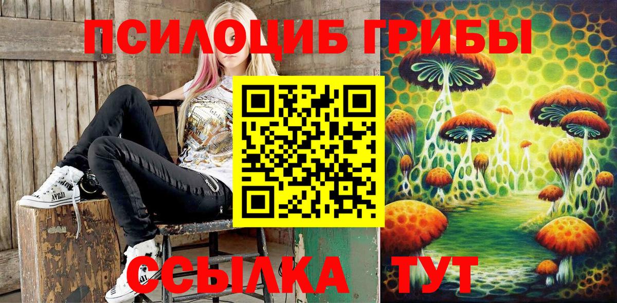 Псилоцибиновые грибы мицелий Энгельс